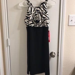 Zebra dress